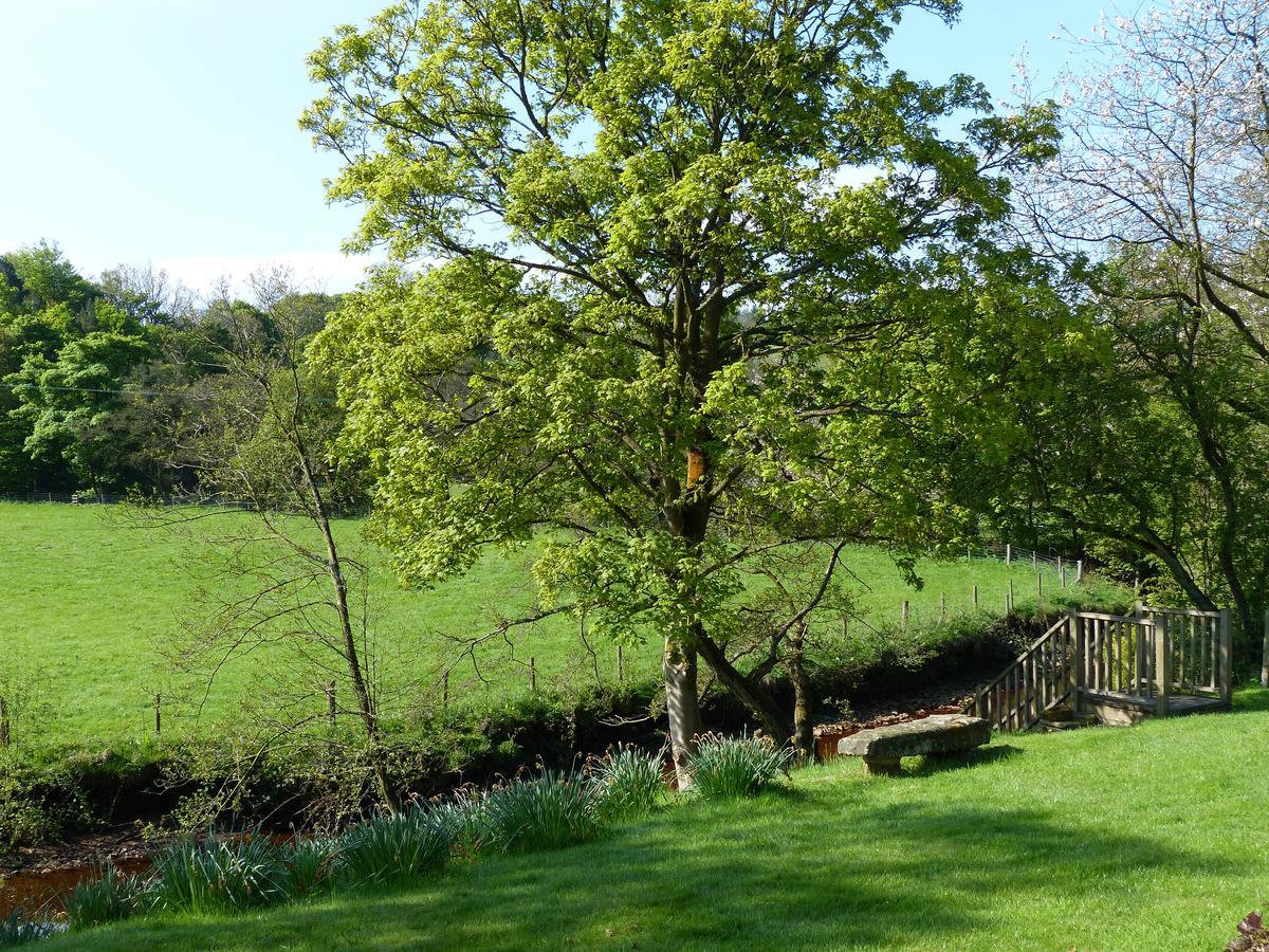 Bed and Breakfast Millbrook Penistone Exterior foto